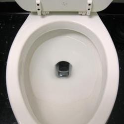 phone_in_toilet
